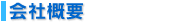 ЊTv